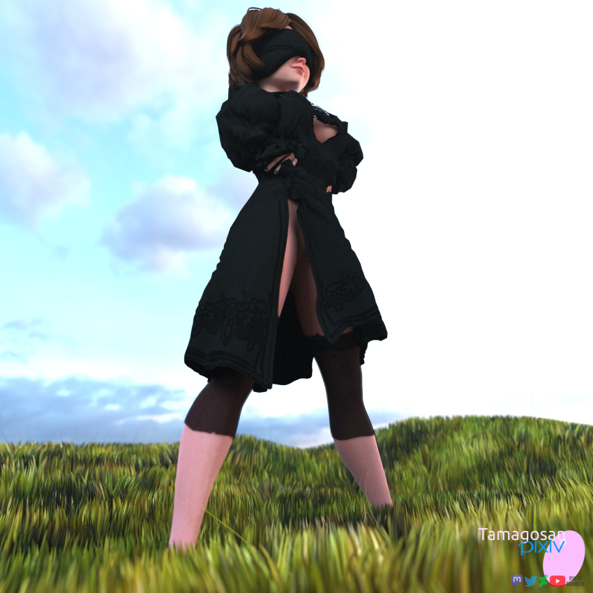 3d aunt aunt_cass big_hero_6 blindfold brown_hair cass_hamada cosplay cosplayer dark_hair disney fanbox_reward human light-skinned_female light-skinned_male light_skin marvel marvel_comics mature_female mature_woman milf nier:_automata outdoor pixiv tamagosan yorha_2b