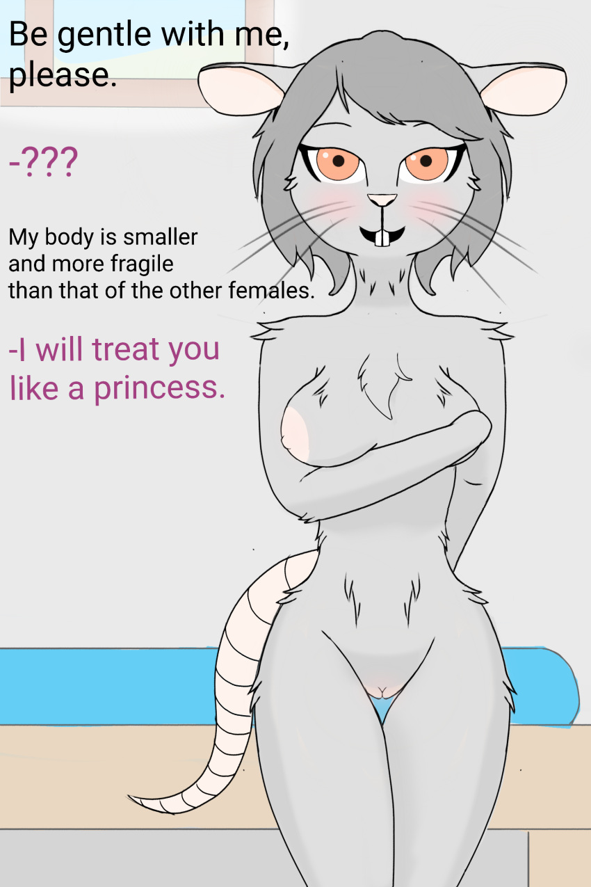 absurd_res anthro anuvisur_(artist) bed bedroom blush breast_grab breasts dialogue digital_media_(artwork) english_text female fur furniture genitals grey_body grey_fur hair hand_on_breast hi_res imminent imminent_sex inside looking_at_viewer mammal mouse murid murine nervous nervous_smile nipples nude open_mouth orange_eyes pussy rodent simple_background smile solo text thick_thighs window young