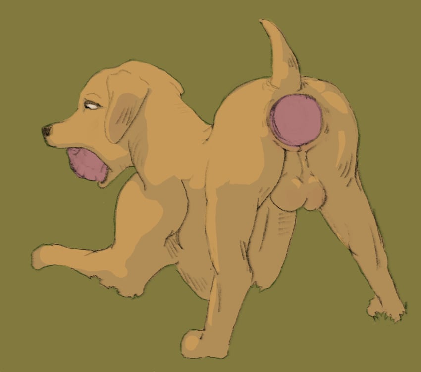 All The Way Through Rule 34 Image