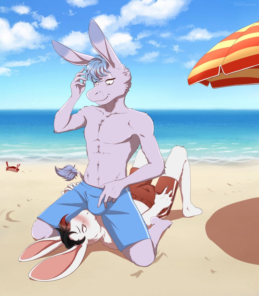 2023 5_fingers absurd_res aggressive_retsuko anthro asinus beach blush bulge bulge_in_face cloud digital_media_(artwork) donkey duo equid equine fingers fur hi_res lagomorph leporid looking_at_another looking_at_partner male male/male mammal netflix rabbit sand sanrio sea seaside shorts_only sky smooth_fur tadano_(aggretsuko) tommysamash water white_body white_fur