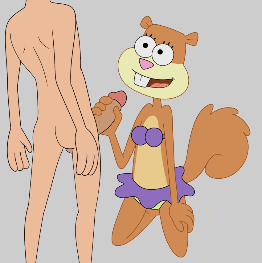 accurate_art_style anthro ass balls bikini bikini_top breasts brown_body brown_fur buckteeth clothing duo female fur genitals handjob hi_res human human_on_anthro impstripe interspecies kneeling male male/female male_human/female_anthro male_on_anthro mammal multicolored_body multicolored_fur nickelodeon nude open_mouth open_smile partial_male penile penis rodent sandy_cheeks sciurid sex simple_background smile smooth_skin spongebob_squarepants swimwear tan_body tan_fur teeth tree_squirrel two_tone_body two_tone_fur