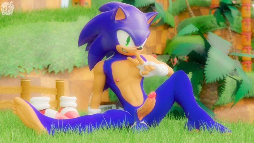 3d_(artwork) anthro balls blue_body boots clothing digital_media_(artwork) english_text eulipotyphlan feet footwear genitals gloves green_eyes handwear hedgehog hi_res loafsfm male mammal pecs penis sega solo solo_focus sonic_(series) sonic_the_hedgehog sonic_the_hedgehog_(series) text widescreen