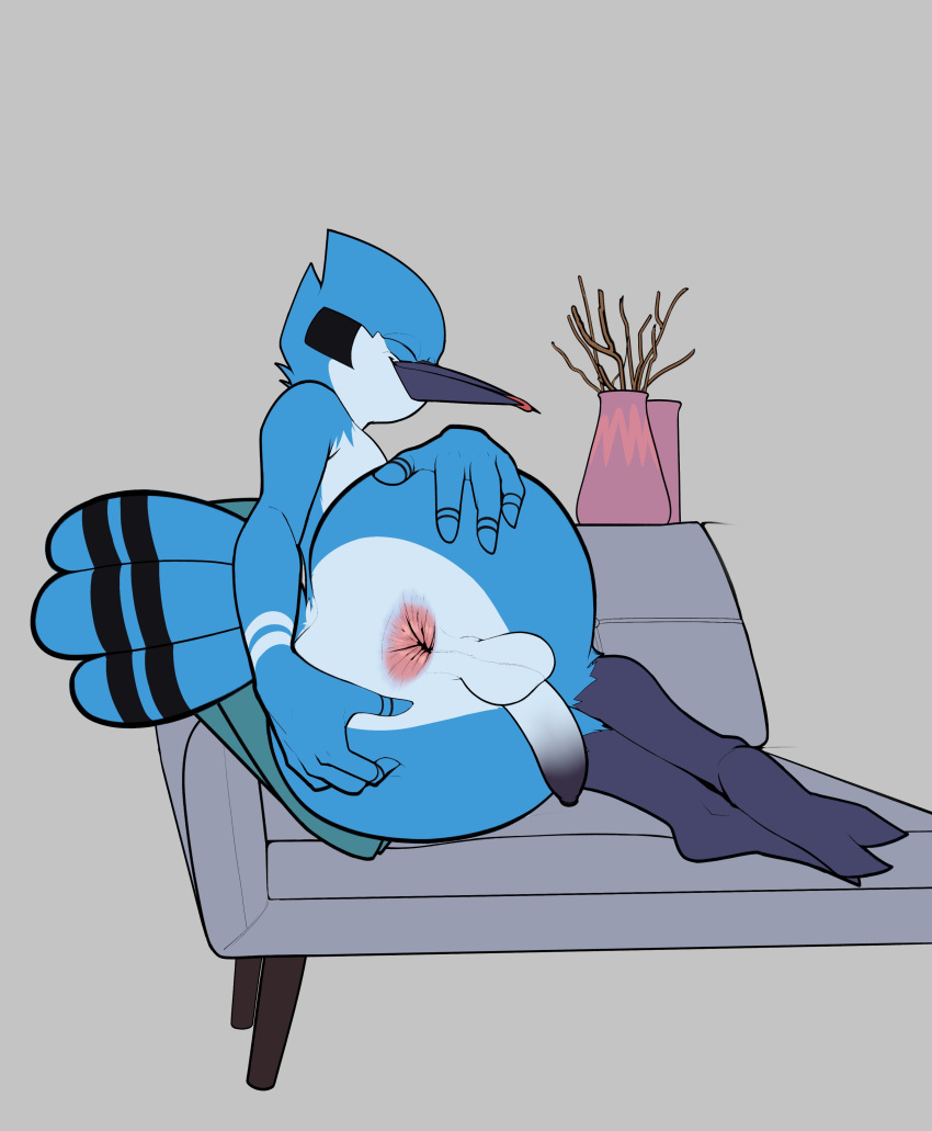 absurd_res anthro anus ass avian balls beak big_butt bird blep blue_body blue_feathers blue_jay cartoon_network chair closed_eyes corvid feathers flaccid furniture genitals hi_res humanoid_genitalia humanoid_penis inkgelato jay_(bird) lying male male_only male_solo mordecai_(regular_show) new_world_jay nude on_chair on_side oscine passerine penis perineum presenting presenting_anus presenting_hindquarters regular_show solo tail_feathers tongue tongue_out