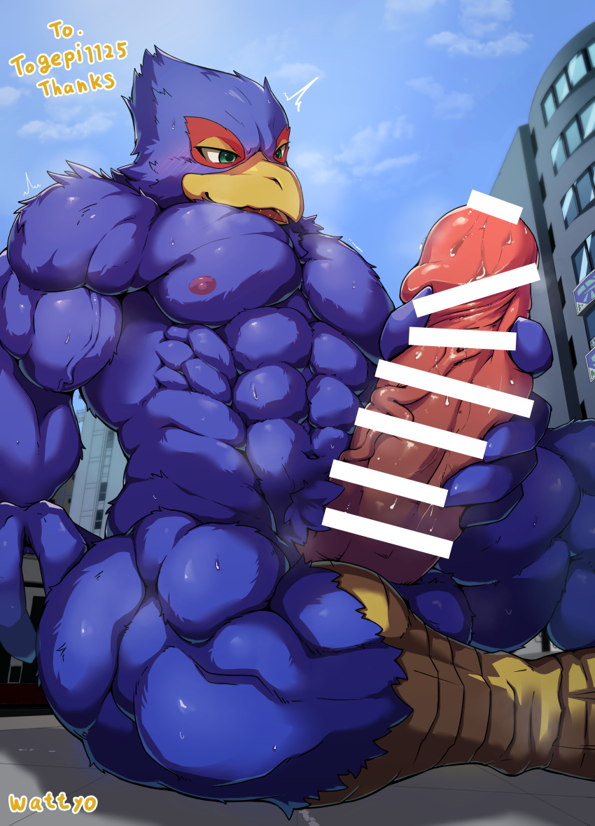 absurd_res anthro avian big_penis bird blue_body blush bodily_fluids censored erection falco_lombardi genital_fluids genitals hi_res macro male masturbation nintendo penis penis_grab precum sitting solo star_fox sweat wattyo