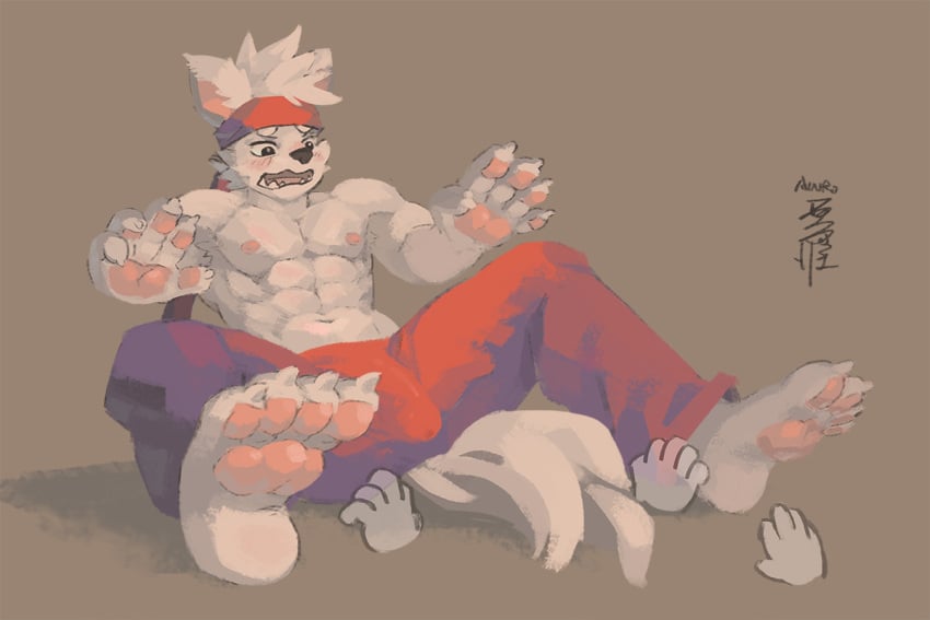 abs ainro anthro biceps blush bottomwear bulge canid canine canis clothed clothing disembodied_hand domestic_dog erection erection_under_clothing fur genital_outline hair male mammal muscular muscular_male nipples pants paws pecs penis_outline shirtless_male simple_background solo white_body white_fur