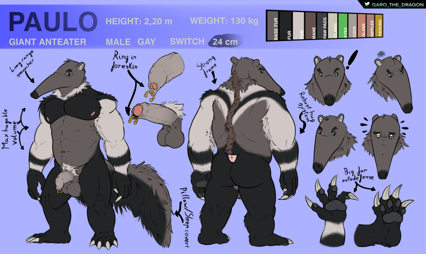 2023 4_toes absurd_res anteater ass balls brown_body claws digital_media_(artwork) expression_sheet fan_character feet fluffy fluffy_tail foreskin foreskin_piercing garo_(artist) genital_piercing genitals giant_anteater glans green_eyes hi_res male mammal mane model_sheet multiple_positions musclegut muscular paulo_(garo) pawpads paws penis perineum piercing pilosan pubes simple_background solo standing tail text toes vein veiny_penis xenarthran