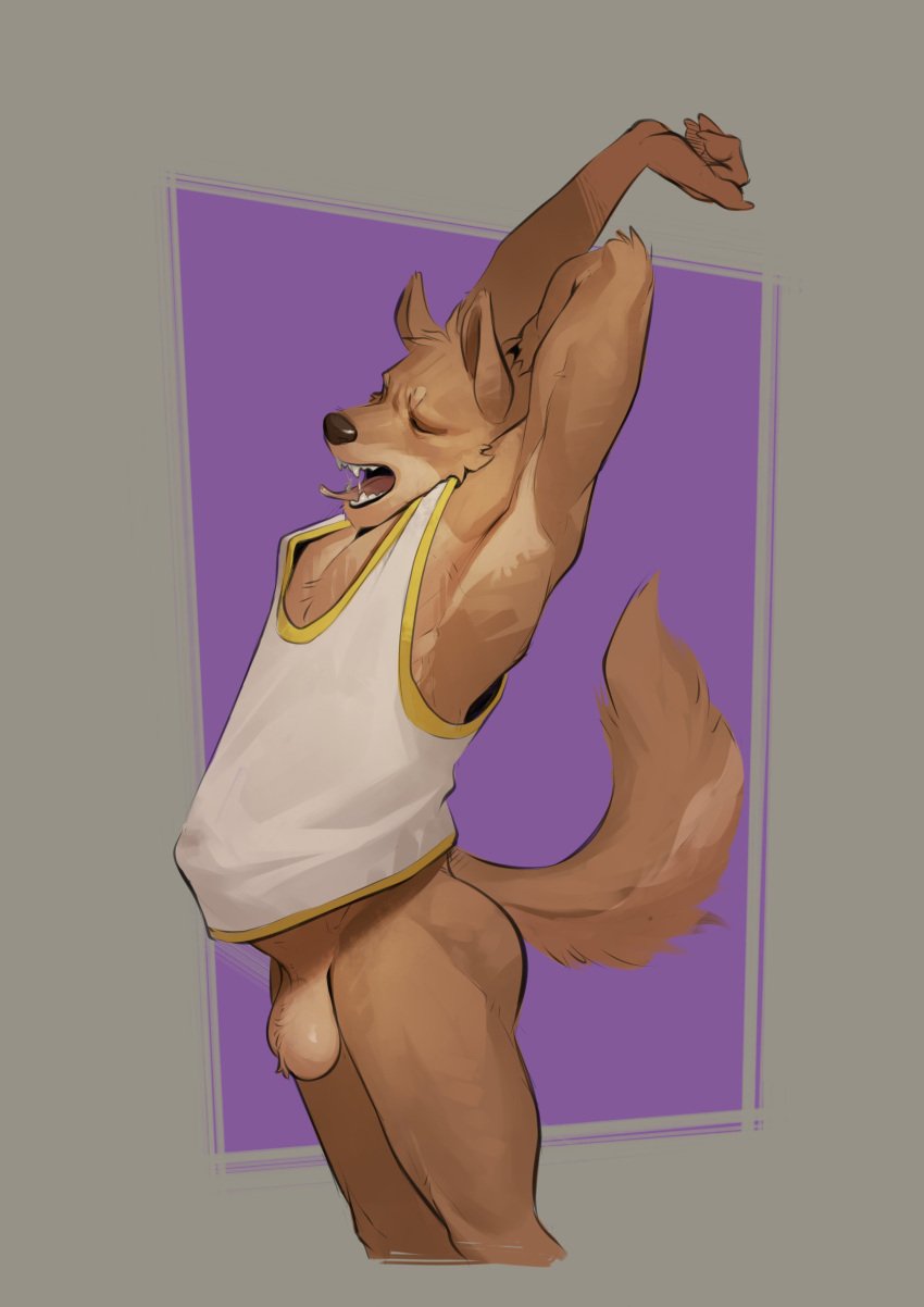 absurd_res anthro balls bottomless canid canine clothed clothing erection genitals hi_res humanoid_genitalia kaynine male mammal morning_wood open_mouth penile penis shirt shirt_bulge simple_background solo stretching tail tank_top teeth tongue topwear yawn