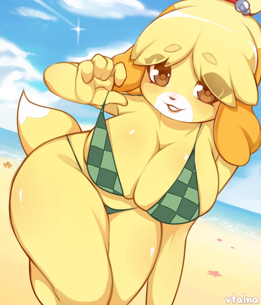 2022 5_fingers absurd_res animal_crossing anthro beach big_breasts bikini blonde_hair breasts brown_eyes canid canine canis cleavage clothed clothing digital_media_(artwork) dipstick_tail domestic_dog eyebrow_through_hair eyebrows female fingers hair hi_res isabelle isabelle_(animal_crossing) looking_at_viewer mammal markings midriff nintendo pattern_bikini pattern_clothing pattern_swimwear pinup pose seaside shih_tzu solo starfish swimwear tail tail_markings thick_thighs toy_dog translucent translucent_hair vtalna wide_hips yellow_body