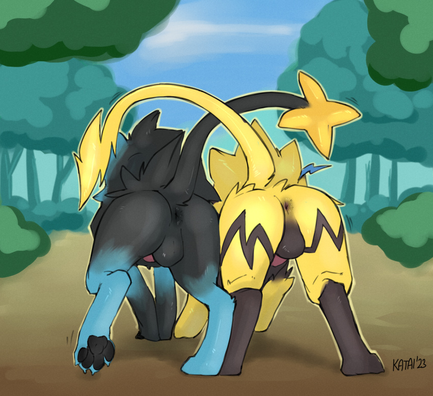 anus ass backsack balls duo felid feral forest generation_4_pokemon generation_7_pokemon genitals hi_res katai legendary_pokemon luxray male male/male mammal nintendo outside pawpads plant pokemon pokemon_(species) presenting presenting_hindquarters rear_view side_by_side take_your_pick tree zeraora