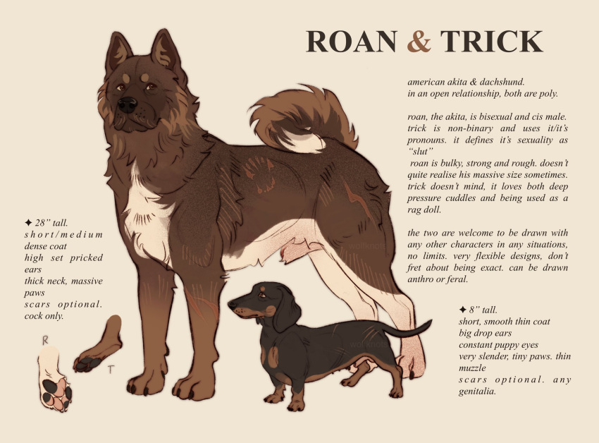 akita american_akita animal_genitalia canid canine canis dachshund domestic_dog duo english_text feral fully_sheathed genitals hi_res hunting_dog male mammal model_sheet sheath size_difference spitz text wolfknots