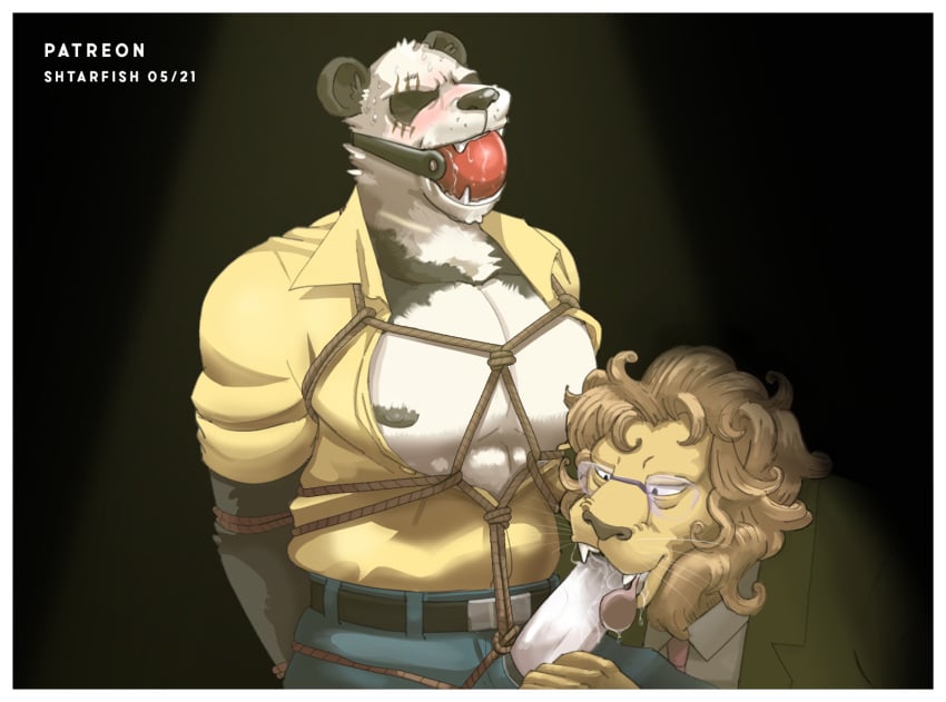 anthro avielsusej ball_gag bear beastars blush bound duo felid fellatio gag gay genitals giant_panda gouhin hi_res ibuki_(beastars) lion male male/male male_only mammal oral pantherine penile penis rope sex shtarfish