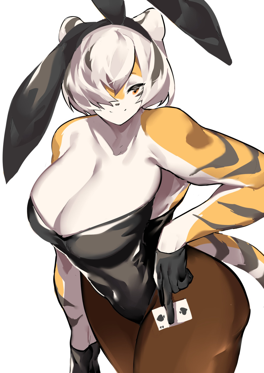 1girls amber_eyes anthro arknights aspirindabaitu big_breasts breasts bunny_ears bunnysuit female mx99926 pantyhose simple_background solo solo_female thick_thighs tiger tiger_girl waai_fu_(arknights) white_background wide_hips