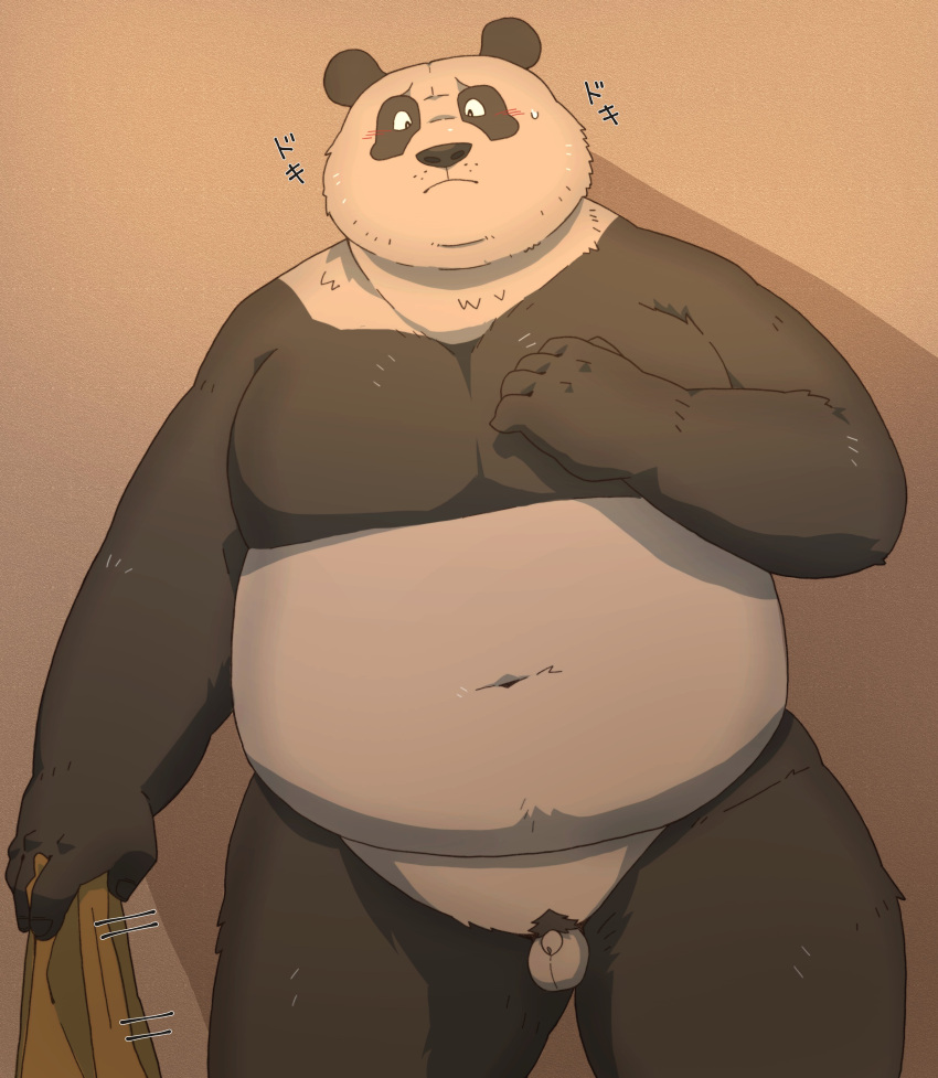 2023 absurd_res anthro arufina_w balls bear belly big_belly black_body black_nose blush genitals giant_panda hi_res japanese_text kemono male male_only mammal micropenis navel overweight overweight_male penis pubes small_penis solo text white_body