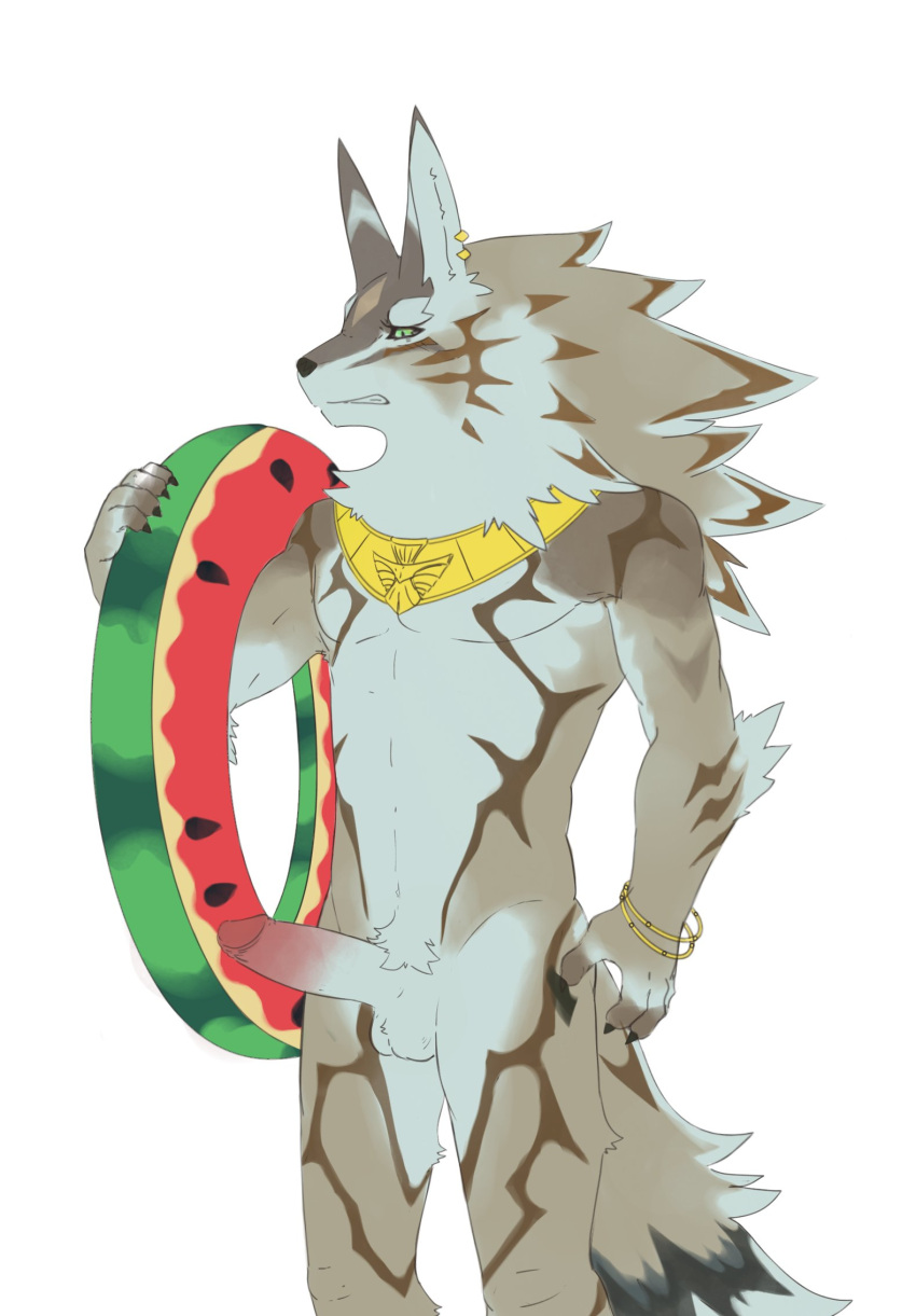 2023 815147h anthro athletic athletic_anthro athletic_male balls brown_body brown_fur canid canine canis erection fur genitals gold_(metal) gold_jewelry green_eyes hi_res holding_object holding_swim_ring humanoid_genitalia humanoid_penis jackal jewelry lifewonders male mammal penis piercing seth_(tokyo_afterschool_summoners) simple_background solo striped_body striped_fur stripes swim_ring tokyo_afterschool_summoners