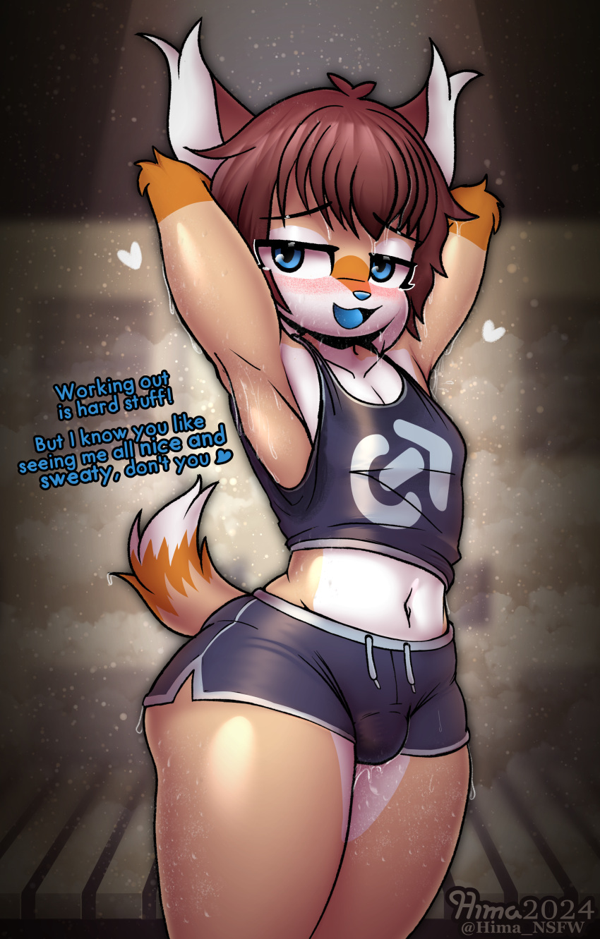 1boy absurd_res ande ande_(hima_nsfw) anthro arms_above_head athletic_wear bedroom_eyes blush bodily_fluids bottomwear brown_hair bulge canid canine clothing dialogue dolphin_shorts dripping_wet felid feline femboy fox fur glistening glistening_body gym gym_bottomwear gym_shirt gym_shorts gym_topwear hair hi_res hima_nsfw hybrid locker_room lynx male male_only mammal narrowed_eyes orange_body orange_fur seductive shirt shorts smile solo solo_male sweat sweaty_armpit sweaty_arms sweaty_legs sweaty_thighs tan_body tan_fur topwear white_body white_fur workout_clothing