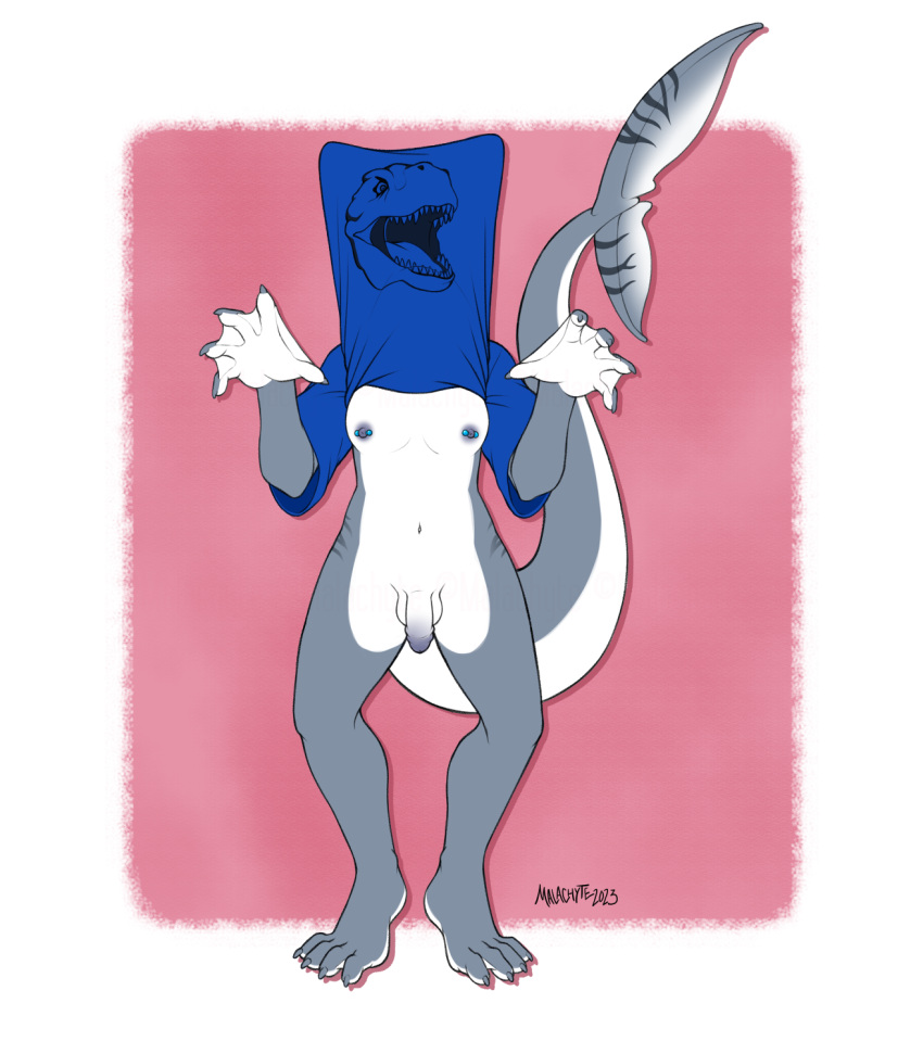 2023 anthro balls biped blue_nipples breasts choker claws clothing countershade_hands countershade_tail countershade_torso countershading digitigrade english_text eyebrows fin fish flaccid front_view futanari genitals glans grey_body gynomorph hi_res humanoid_genitalia humanoid_penis intersex jewelry long_tail malachyte marine membrane_(anatomy) mostly_nude multicolored_body navel necklace nipple_piercing nipples non-mammal_breasts penis piercing pose rawr shark shirt simple_background small_breasts solo standing tail tail_fin teenager teeth text toe_claws topwear two_tone_body webbed_hands white_body young