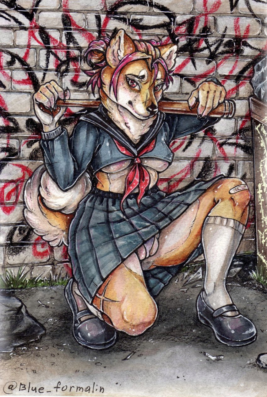 2023 anthro asian_clothing baseball_bat bat_(object) blue_formalin bottomwear breasts canid canine canis clothed clothing crop_top crouching domestic_dog east_asian_clothing female footwear front_view full-length_portrait genitals graffiti hi_res japanese_clothing japanese_school_uniform looking_at_viewer mammal midriff panties portrait pussy pussy_floss scar school_uniform shiba_inu shirt shoes skirt socks solo spitz sukeban topwear traditional_media_(artwork) under_boob underwear uniform upskirt