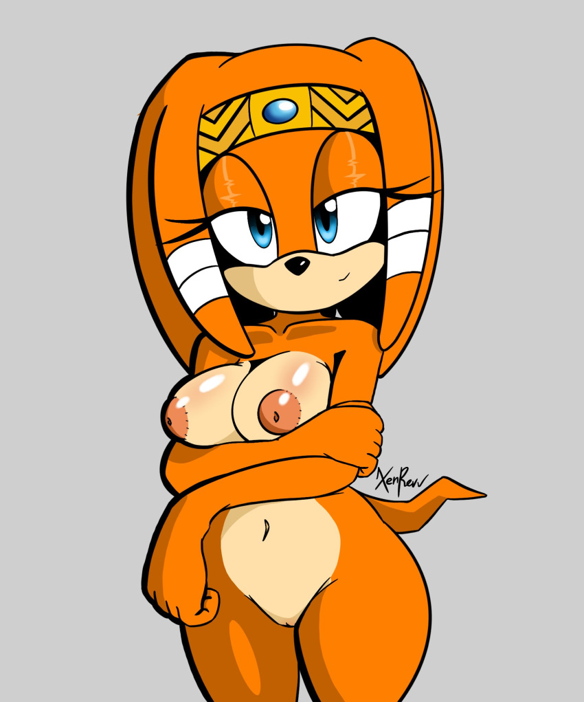 Sonic (Series) Rule 34 Image