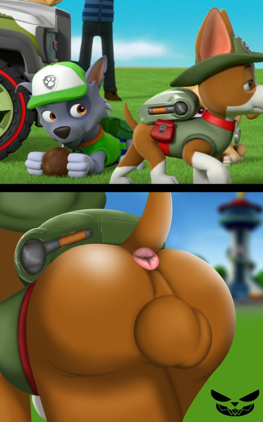 anus ass backsack balls baseball_cap blurred_background butt_focus canine cheek_tuft clothing cocker_spaniel coconut collar duo feral fur genitals grass green_eyes hat headgear headwear hunting_dog laying_down looking_at_butt male mammal multicolored_body multicolored_fur out_of_context paw_patrol pepperbunny plant rocky_(paw_patrol) satchel screencap screenshot_edit spaniel topwear tracker_(paw_patrol) tuft vest walking walking_away watermark