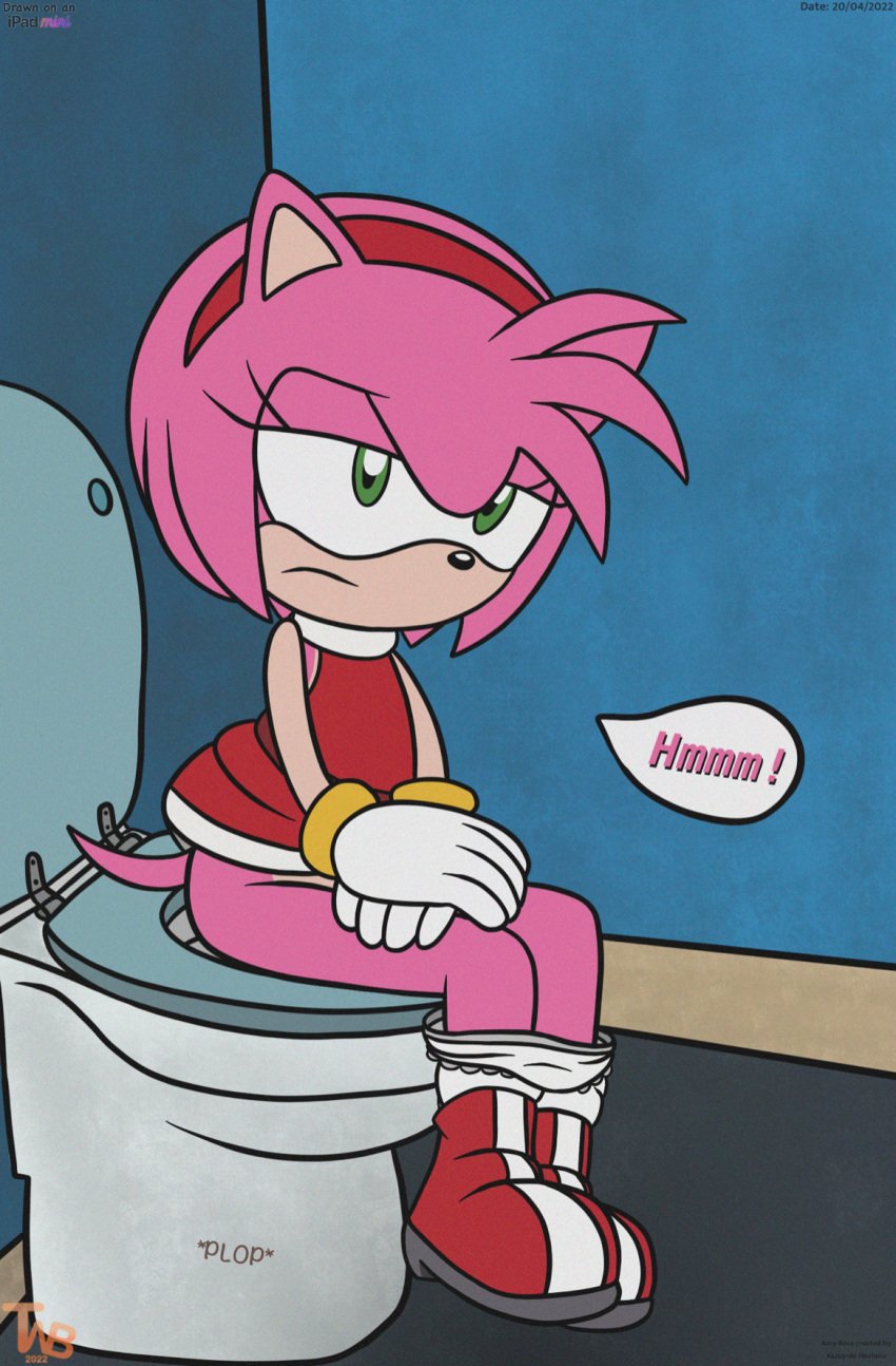 amy_rose scat sega shit sonic_(series) sonic_the_hedgehog_(comics) sonic_the_hedgehog_(series) the_wank_bank thedispenser69 toilet toilet_use