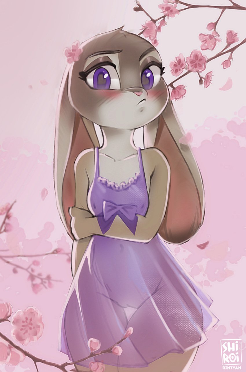 accessory anthro blush bow_(feature) breasts cherry_blossom cherry_blossom_tree cherry_tree clothed clothing digital_media_(artwork) disney eyelashes female flower flower_in_hair fruit_tree fur genitals grey_body grey_fur hair hair_accessory hi_res judy_hopps lagomorph leporid lingerie looking_at_viewer mammal navel nipple_outline nipples outside purple_clothing purple_eyes purple_topwear pussy rabbit rin_tyan solo topwear translucent translucent_clothing tree zootopia