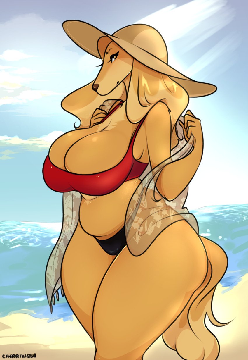 10s 2017 anthro beach big_breasts breasts canid canine canis cherrikissu cleavage cleavage_overflow clothed clothing curvy_figure detailed_background digital_media_(artwork) dogmom domestic_dog female fur hair half-closed_eyes hat headgear headwear hi_res hunting_dog long_hair looking_at_viewer mabel_(cherrikissu) mammal mature_anthro mature_female narrowed_eyes outside potbelly saluki sand sea seaside side_view sighthound sky solo thick_thighs tight_clothing voluptuous water wide_hips