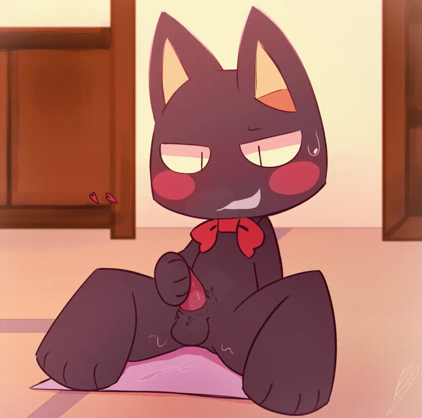 animal_genitalia animated anthro balls bj_(artist) black_body black_fur blush bodily_fluids bow_tie bow_tie_only detailed_background doko_demo_issho domestic_cat erection felid feline felis fur genitals hi_res kuro_(doko_demo_issho) male mammal masturbation mostly_nude on_towel penis pubes sheath sitting solo spread_legs spreading sweat sweatdrop tapering_penis towel