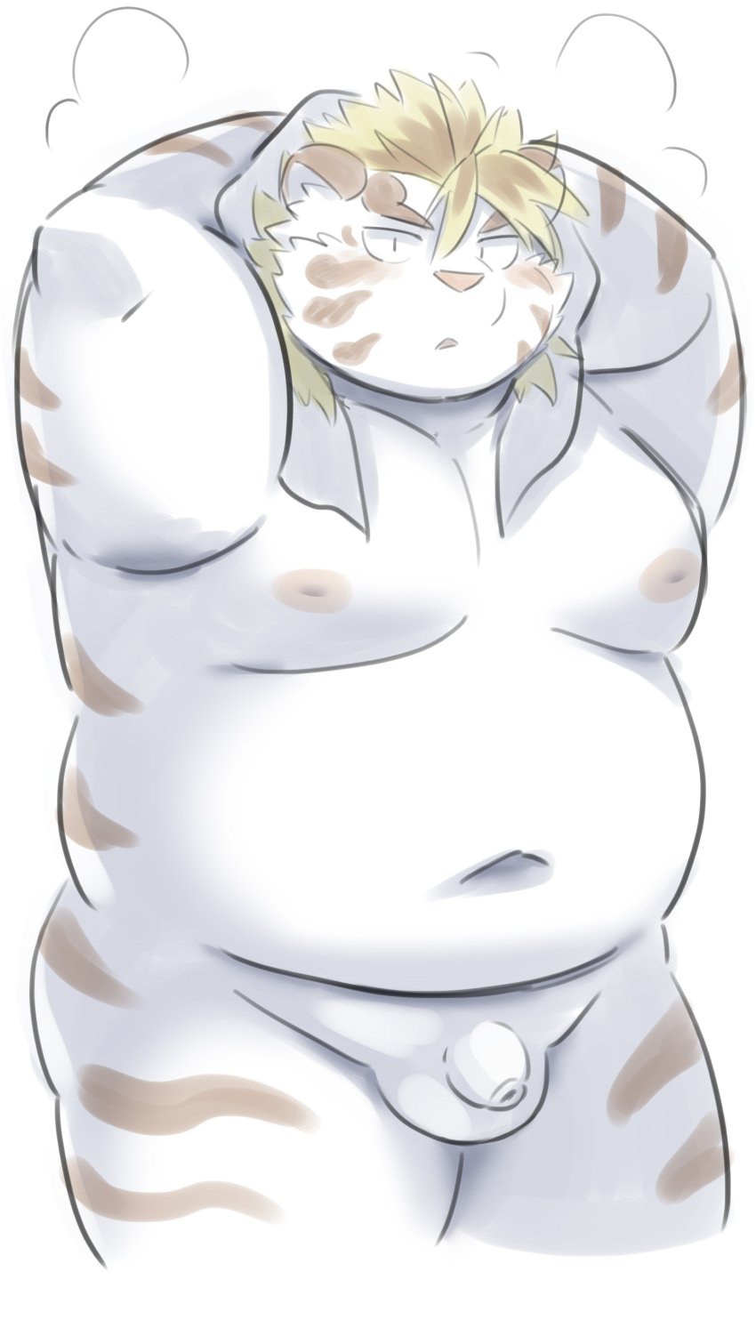 2023 absurd_res anthro balls belly big_belly blush felid flaccid genitals hi_res kemono licho_(tas) lifewonders male mammal moobs navel nipples overweight overweight_male pantherine penis ptcmtr small_penis solo tiger tokyo_afterschool_summoners towel