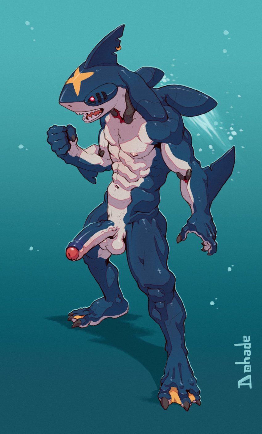 1boy absurd_res balls dohade erection generation_3_pokemon genitals hi_res male male_only muscular muscular_male nintendo penis piercing pokemon pokemon_(species) sharpedo simple_background solo vein veiny_penis