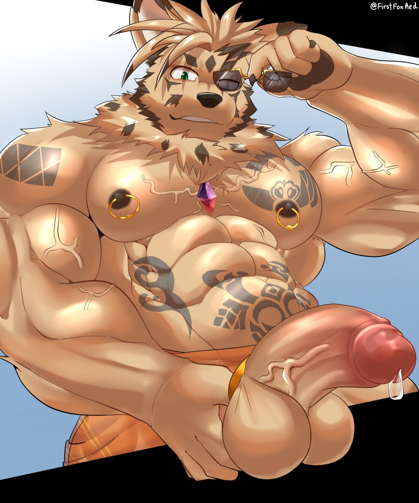 balls bara furry furry_only jewelry muscles muscular muscular_male penis pierced_nipples zacharoff_(anothereidos_r)