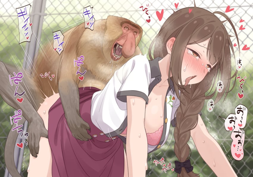 ahoge black_bow blush bow bra braid braided_ponytail brown_eyes brown_hair clothed_female female female_human female_human/male_feral female_penetrated feral feral_on_female feral_on_human feral_penetrating feral_penetrating_female feral_penetrating_human hairbow heart heart-shaped_pupils highres human idolmaster idolmaster_shiny_colors interspecies kuwayama_chiyuki long_hair monkey neku_oneneko open_clothes open_mouth open_shirt outdoors paid_reward_available pink_bra proboscis_monkey red_skirt sex shirt skirt solo symbol-shaped_pupils tongue tongue_out underwear vaginal_penetration white_shirt zoophilia