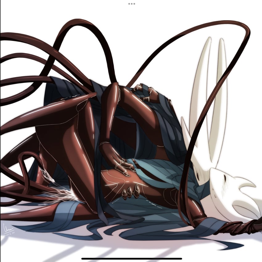 Hollow Knight (Character) Rule 34 Image