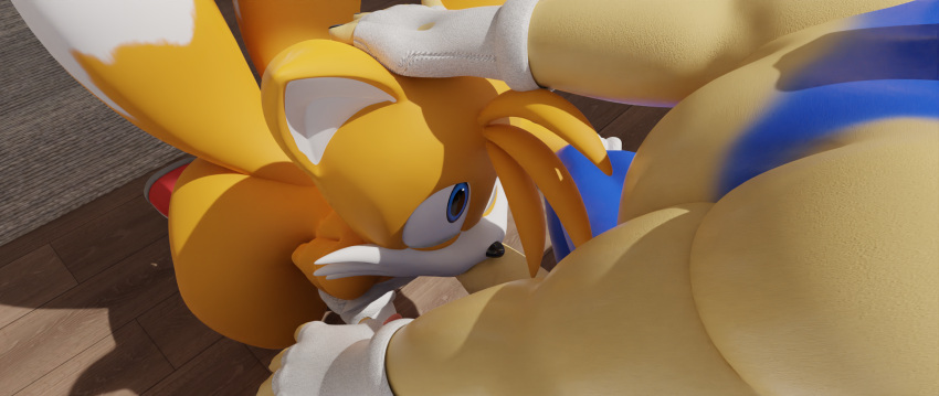 3d anthro big_ass blender_(software) canid canine duo fellatio femboy fox gay hi_res male male/male mammal nude oral pandyno sega sonic_(series) sonic_the_hedgehog sonic_the_hedgehog_(series) tails thick_thighs wide_hips yaoi