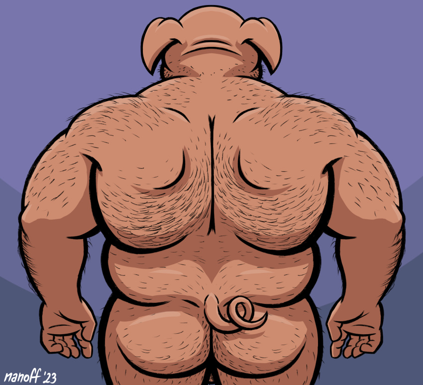 anthro ass back_hair balls beard body_hair butt_hair chubby_male domestic_pig facial_hair genitals hi_res joe_(nanoff) male mammal musclegut nanoff nude rear_view shoulder_hair solo suid suina sus_(pig)