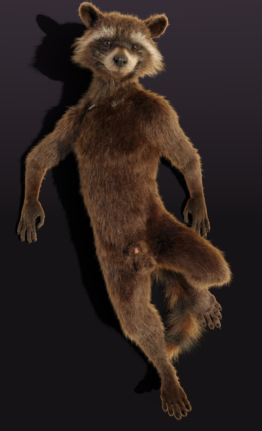 3d_(artwork) 5_toes absurd_res animal_genitalia anthro balls biped black_nose blender_(software) brown_body brown_eyes brown_fur cheek_tuft claws cybernetics digital_media_(artwork) digital_media_(artwork)5_fingers disney facial_markings facial_tuft feet finger_claws fingers fur genitals guardians_of_the_galaxy head_markings hi_res high-angle_view looking_at_viewer lying machine male male_only mammal markings marvel mask_(marking) multicolored_body multicolored_fur nude nude_anthro nude_male on_back penis pink_penis plantigrade procyonid raccoon raised_leg retracted_penis retracted_sheath ring_(marking) ringtail rocket_raccoon rockyrcoon sheath simple_background solo tail tail_markings toe_claws toes tuft whiskers white_ear_tips white_muzzle