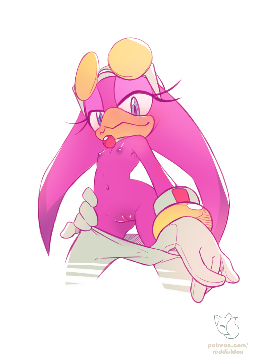 1girls avian clothing flat_chest glasses glasses_on_head gloves looking_at_viewer nipples nude pants pants_down pants_pull purple_body pussy reddishfox_(artist) sonic_(series) sonic_the_hedgehog_(series) tagme wave_the_swallow