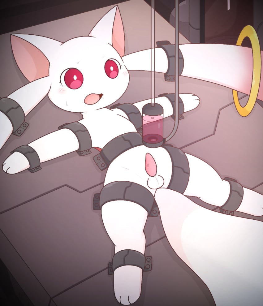 animal_genitalia animal_penis balls blush bondage bound cum_container digital_media_(artwork) erection feral fur genitals girly hi_res km-15 kyuubee machine mahou_shoujo_madoka_magica male open_mouth penis penis_milking_machine puella_magi red_eyes solo