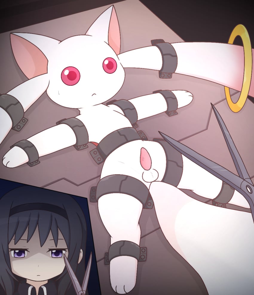 akemi_homura animal_genitalia animal_penis balls bodily_fluids bound duo female feral fur genitals hi_res human imminent_castration incubator_(puella_magi) km-15 kyuubee mahou_shoujo_madoka_magica male mammal penis puella_magi red_eyes scissors sweat sweatdrop you_have_lost_pp_privileges