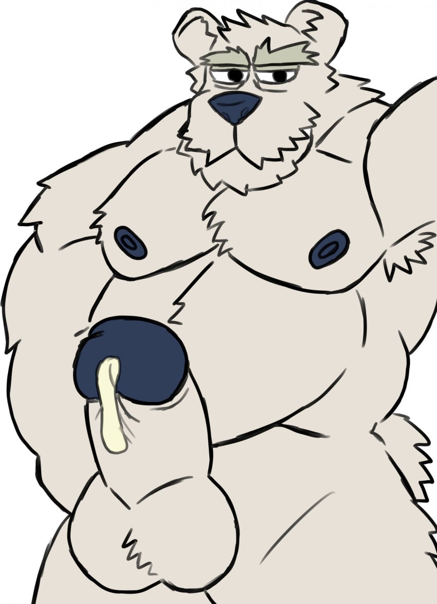 1boy 2023 amideo balls bara bear club_penguin cum genitals herbert_p._bear hi_res male male_only mammal penis polar_bear solo ursine white_background