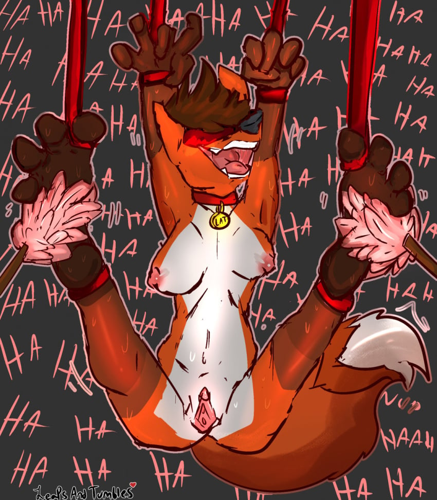 anthro blindfold canid canine cleaning_tool collar feather_duster feet female fox hi_res laugh leapsandtumbles mammal muffy_(leapsandtumbles) onomatopoeia questionable_consent solo sound_effects suspension text tickle_torture tickling