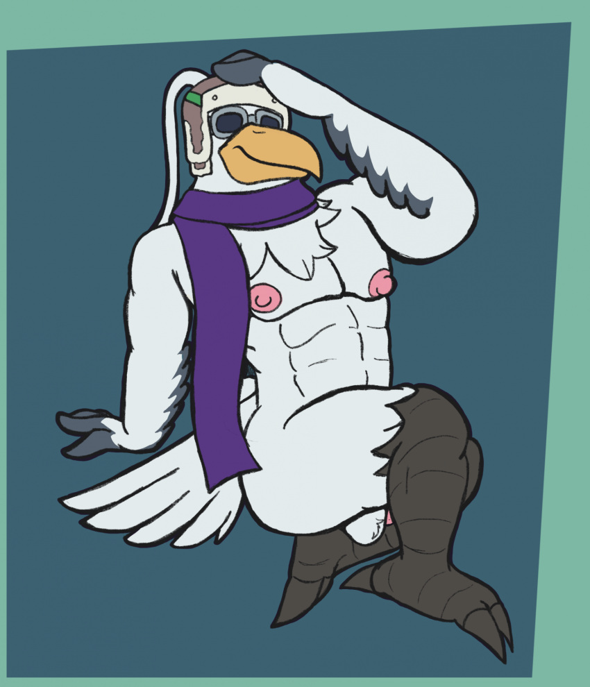 anthro avian balls black_talons chest_tuft clothing eyewear genitals goggles hat headgear headwear hi_res male male_only mostly_nude muscular nintendo nipples penn_(legend_of_zelda) rito scarf scarf_only solo speence_(artist) tail tears_of_the_kingdom the_legend_of_zelda tuft winged_arms wings