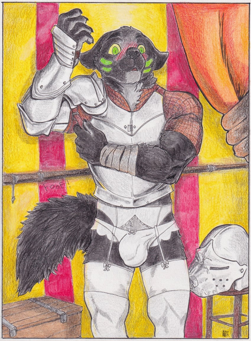 anthro armor blush blush_lines breastplate bulge canid canine canis clothed clothing crossdressing hi_res hym_(artist) legwear lingerie lingerie_panties male mammal markings shy solo stockings surprised_expression traditional_media_(artwork) were werecanid werecanine werewolf wolf