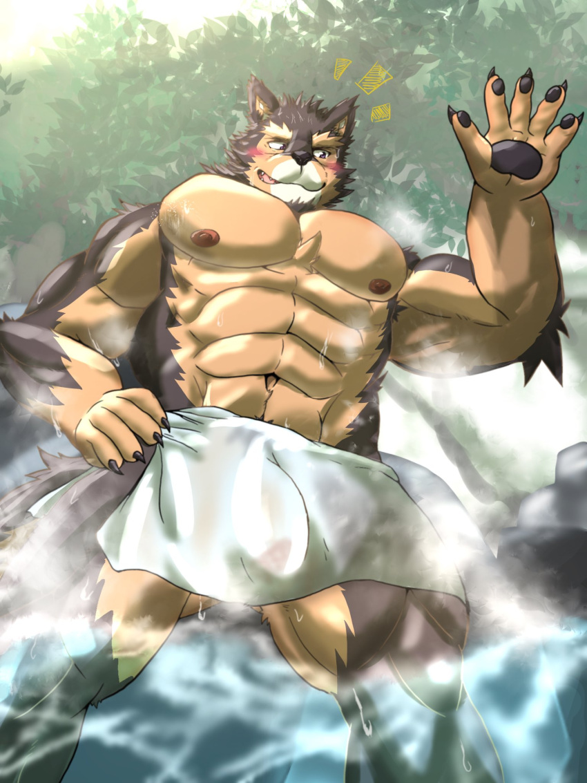 abs anthro brown_body brown_fur bulge canid canine canis clothing domestic_dog flaccid fur genital_outline genitals hi_res lifewonders live_a_hero male mammal muscular muscular_anthro muscular_male pawpads pecs penis penis_outline pubraseer solo towel translucent translucent_clothing wet yom_mido_plus