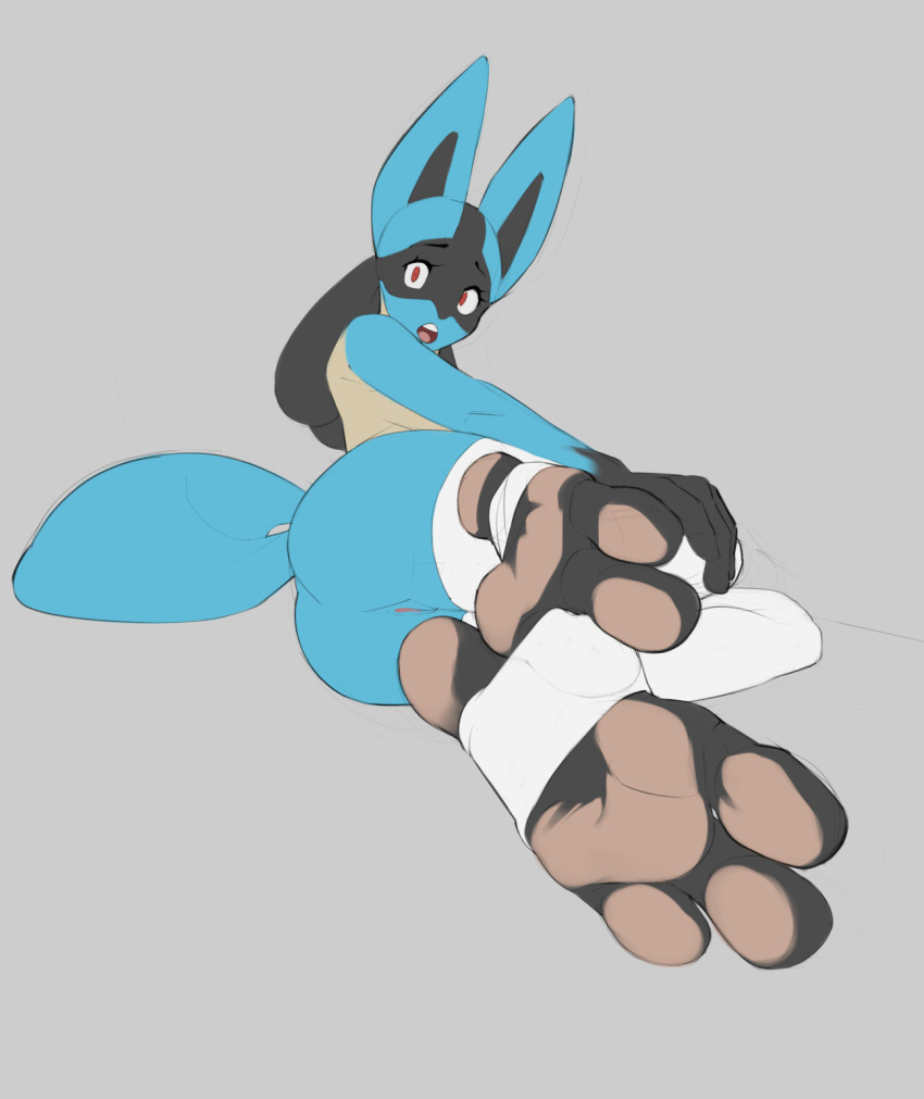 3_toes anthro ass big_feet clothing feet female foot_focus footwear generation_4_pokemon genitals hi_res humanoid humanoid_genitalia humanoid_pussy looking_at_viewer looking_back lucario nintendo pawpads paws pieebo pink_pawpads plantigrade pokemon pokemon_(species) pussy red_eyes socks soles solo stirrup_socks toes