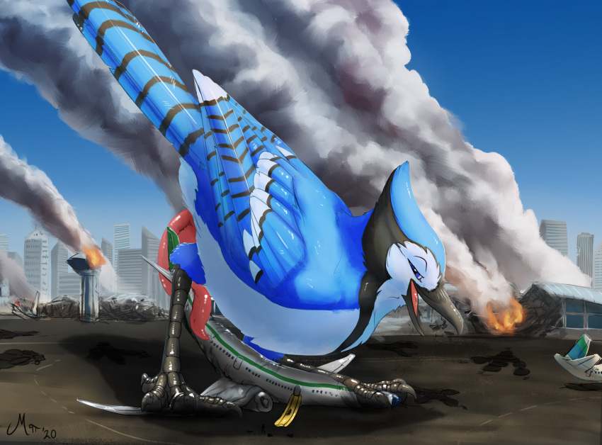 2020 4_toes aircraft airplane airport anisodactyl avian bird blue_body blue_eyes blue_feathers blue_jay city city_background corvid digital_media_(artwork) elijah_jay erection feathers feet feral fire footprint footprints genitals hi_res jay_(bird) jet looking_pleasured macro magpi male new_world_jay open_mouth oscine passerine penis pink_penis prehensile_penis solo tapering_penis toes vehicle_destruction