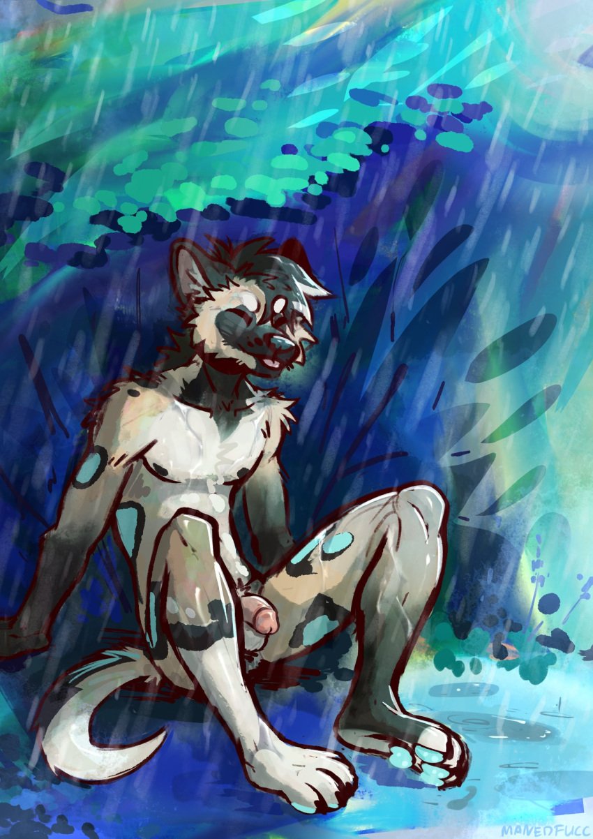 anthro balls blep genitals hi_res humanoid_genitalia humanoid_penis male manedfucc nude outside penis raining sitting solo solo_focus tongue tongue_out