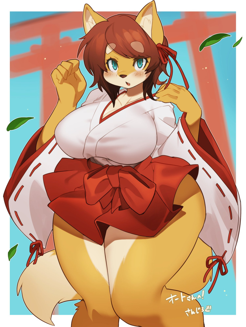 2022 3:4 5_fingers anthro asian_clothing big_breasts blue_eyes blush bottomwear breasts brown_hair canid canine clothed clothing curvy_figure cute_fangs digital_media_(artwork) dipstick_tail east_asian_clothing female female_anthro fingers fox fur hair hakama hana_(tailzkim) hi_res japanese_clothing japanese_text kaeritai07 kemono leaf looking_at_viewer mammal markings miko_outfit multicolored_body multicolored_fur multicolored_tail open_mouth orange_body orange_fur outside portrait shaded shrine_maiden solo tail tail_markings text thick_thighs three-quarter_portrait torii translated two_tone_body two_tone_fur voluptuous white_body white_fur white_tail_tip wide_hips