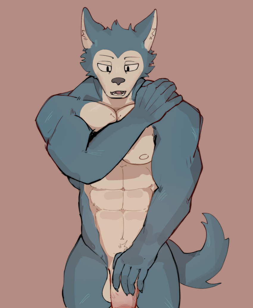 absurd_res anthro beastars big_penis covering covering_self genitals hi_res leborkss legoshi_(beastars) male male/male male_only muscular nude pecs penis solo