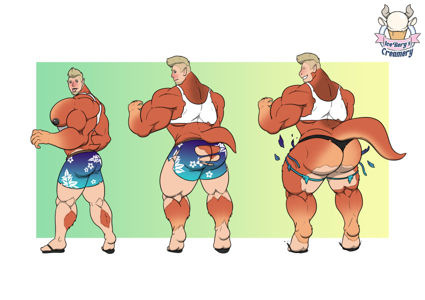 1ceberg absurd_res anthro ass big_butt big_pecs butt_expansion clothed clothing expansion exploding_clothing growth hi_res human kangaroo macropod male mammal marsupial muscle_growth muscular partially_clothed pecs rear_view solo standing tail_growth torn_clothing