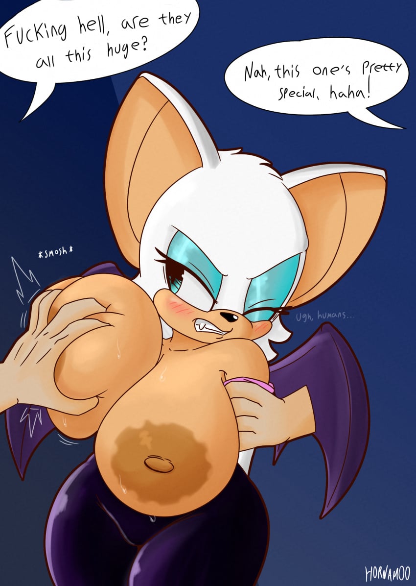 Rouge The Bat (Sega) Rule 34 Image
